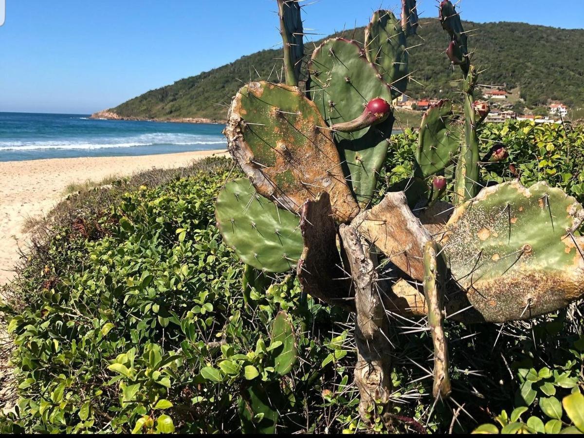 Cantinho Do Paraiso Gamboa  Kültér fotó